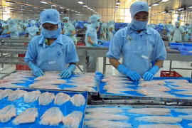 Tra fish exports reach 616 million USD in first six months
