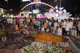HCM City celebrates Tet with special art performances 