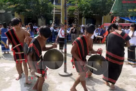 Gia Lai works hard to preserve ethnic cultural identities 