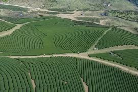Moc Chau – Attractive destination in mountainous regions