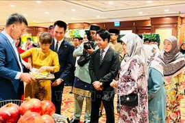  Vietnamese cuisine introduced at Brunei New Year festival (Photo: VNA)