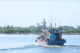 Quang Tri intensifies measures to combat nearshore finishing violations (Photo: VNA)