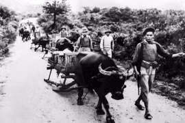 Public screening of documentaries marking Dien Bien Phu Victory opens in Hanoi (Photo: VNA)