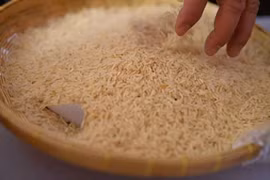 Bidders interested in buying Thai government's 10-year rice (Photo: Thailand's Ministry of Commerce) 
