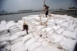 Thai rice prices hit one-year low (Photo: bangkokpost.com)
