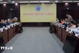 Da Nang – US cooperation promotion working group launched (Photo: VNA)