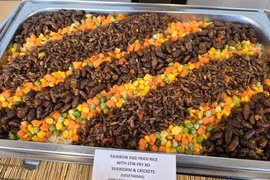 Insect products that are found to be non-compliant with the Singapore Food Agency's standards will not be allowed for sale. (Photo: https://www.businesstimes.com.sg)