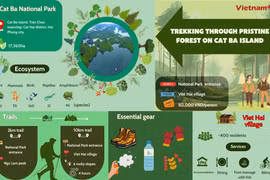 10km trekking trail through pristine forests on Cat Ba Island
