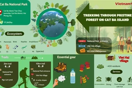 10km trekking trail through pristine forests on Cat Ba Island