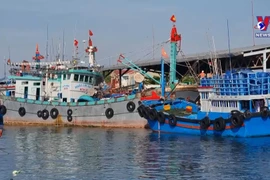 New decrees contribute to perfecting anti-IUU fishing regulations
