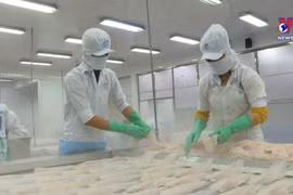 Vietnam's H1 seafood exports hit 4.4 billion USD