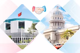 Vietnam-Cuba special friendship