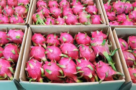 Dragon fruit makes a splash at Spinneys debut in Saudi Arabia