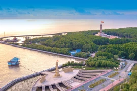 Ca Mau Cape World Biosphere Reserve boasts distinctive values