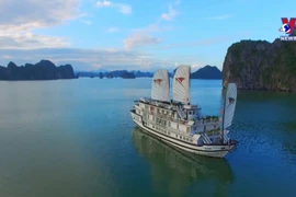 Ha Long Bay - Cat Ba Archipelago recognised as World Geological Heritage
