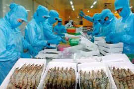 Vietnam’s fishery products standing firm in Singapore