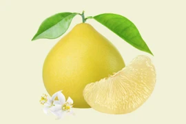 Vietnamese fresh pomelo officially allowed for import into the Republic of Korea 