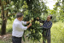 Capital convergence helps boost poverty reduction