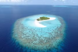 Coral Island in the Maldives (Source: dailymail.co.uk)