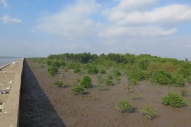 EU and France help Vietnam towards a green future 