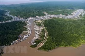 Ca Mau tourism creates trademark, becoming spearhead economy