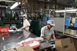 RCEP: local enterprises stepping firmly forward 