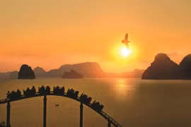 Ha Long Bay at dawn. (Photo: VietnamPlus) 