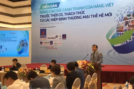 Experts share opinions on development of “Vietnamese-national eagles”