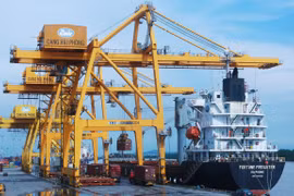 Import-export activities continue improving in February despite COVID-19 challenges (Photo: VNA)