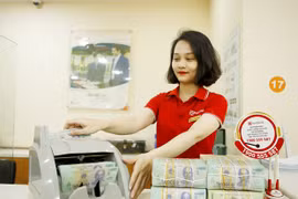 Professional debt trading market needed: experts