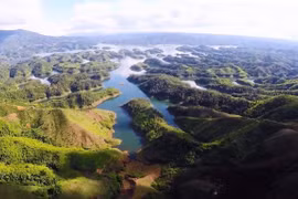 World Environment Day 2020: Efforts to spread "green actions"