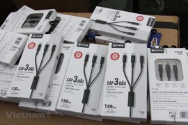 Hard nut to crack in origin fraud fight in Vietnamese products