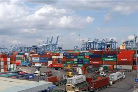 Seaports struggle with COVID-19 pandemic