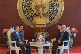 Chinese locality willing to facilitate imports from Vietnam: official
