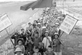 70 years of volunteer youth movement: keeping the spark of youth 