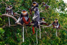 Promoting biodiversity towards sustainable development