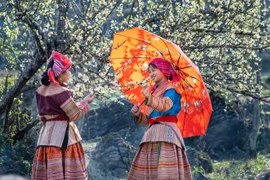 Traditional Tet of Vietnamese ethnic minorities