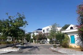 Amended Land Law will attract capital from Overseas Vietnamese