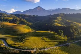 Lao Cai targets 8.5 million tourist arrivals in 2024