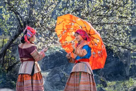 Traditional Tet of Vietnamese ethnic minorities
