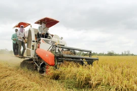 Mekong Delta localities promote collective trademarks