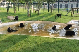 Bear Protection Programme launched at country’s top bear farming commune
