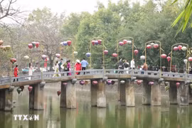 Ninh Binh to organise various activities on upcoming holidays to lure more tourists