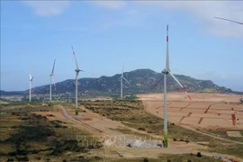 Energy development must go hand-in-hand with economic growth: Insiders 