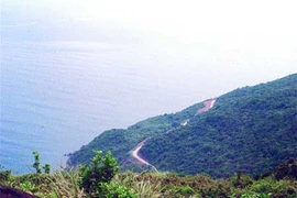 An bird's-eye view of Son Tra Mountain (Photos Courtesy of Bui Van Tuan)