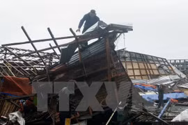 Tacloban city (Source: VNA)
