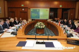 An overview of the event (Photo: VNA)