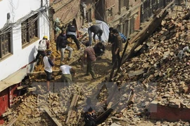 People search for victims under rubble caused by the quake (Photo: AFP/VNA)