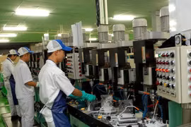 Producing automobile spare parts (Photo: VNA)