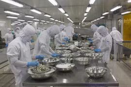 Processing seafood for export (Source: VNA)